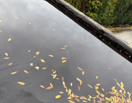 Imagen de WhatsApp 2025-10-31 a las 22.11.21_61897c04