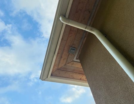 WhatsApp Image 2025-10-29 at 21.58.13