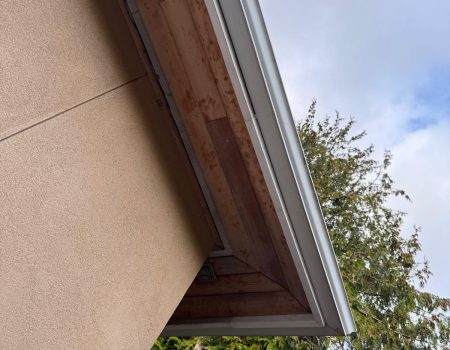 WhatsApp Image 2025-10-29 at 21.58.14