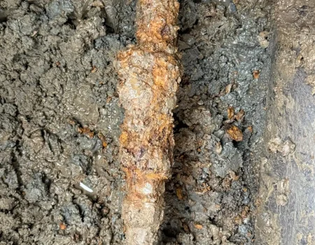 WhatsApp Image 2025-12-24 at 18.33.30 (1)