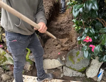 WhatsApp Image 2025-12-24 at 18.33.30 (2)