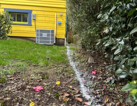 WhatsApp Image 2025-12-24 at 18.33.30