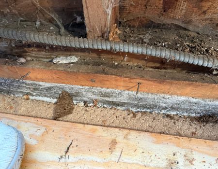 WhatsApp Image 2026-01-08 at 23.59.54