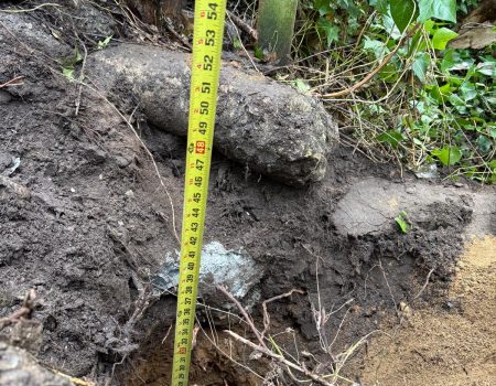 WhatsApp Image 2026-01-08 at 23.59.55 (6)